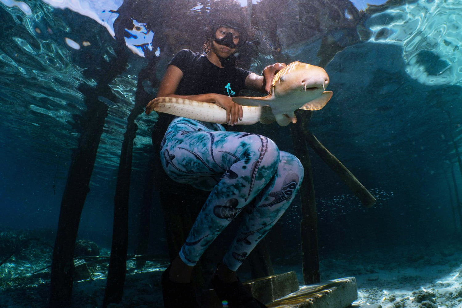 Person holding a large fish underwater with scuba gear