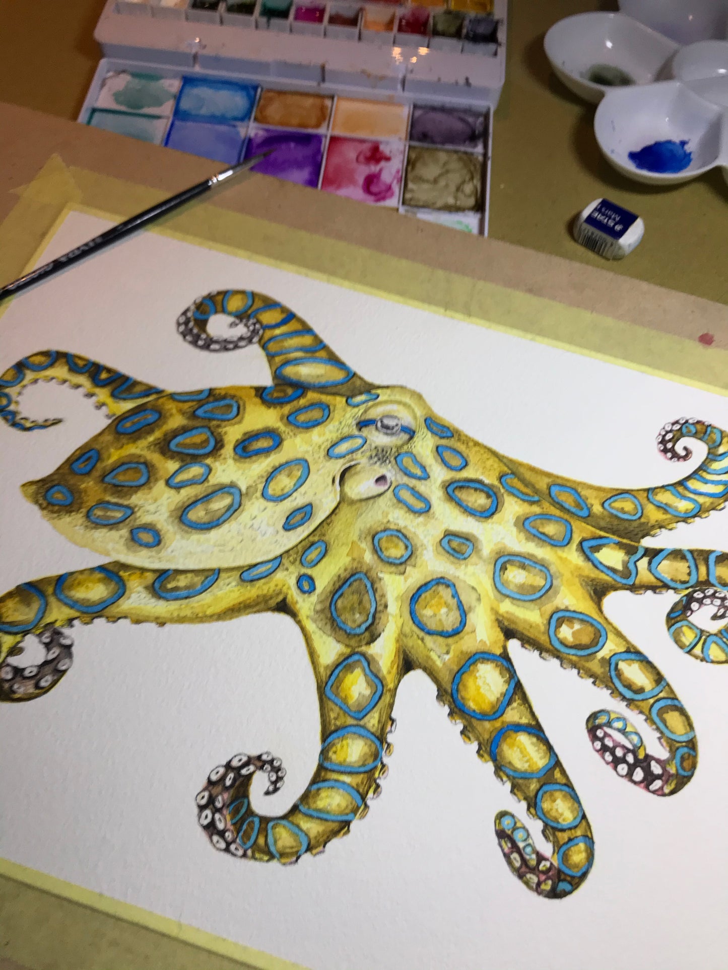 Giclee Fine-Art Print "Blue Ring Octopus"