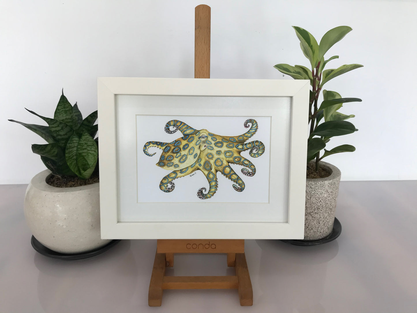 Giclee Fine-Art Print "Blue Ring Octopus"
