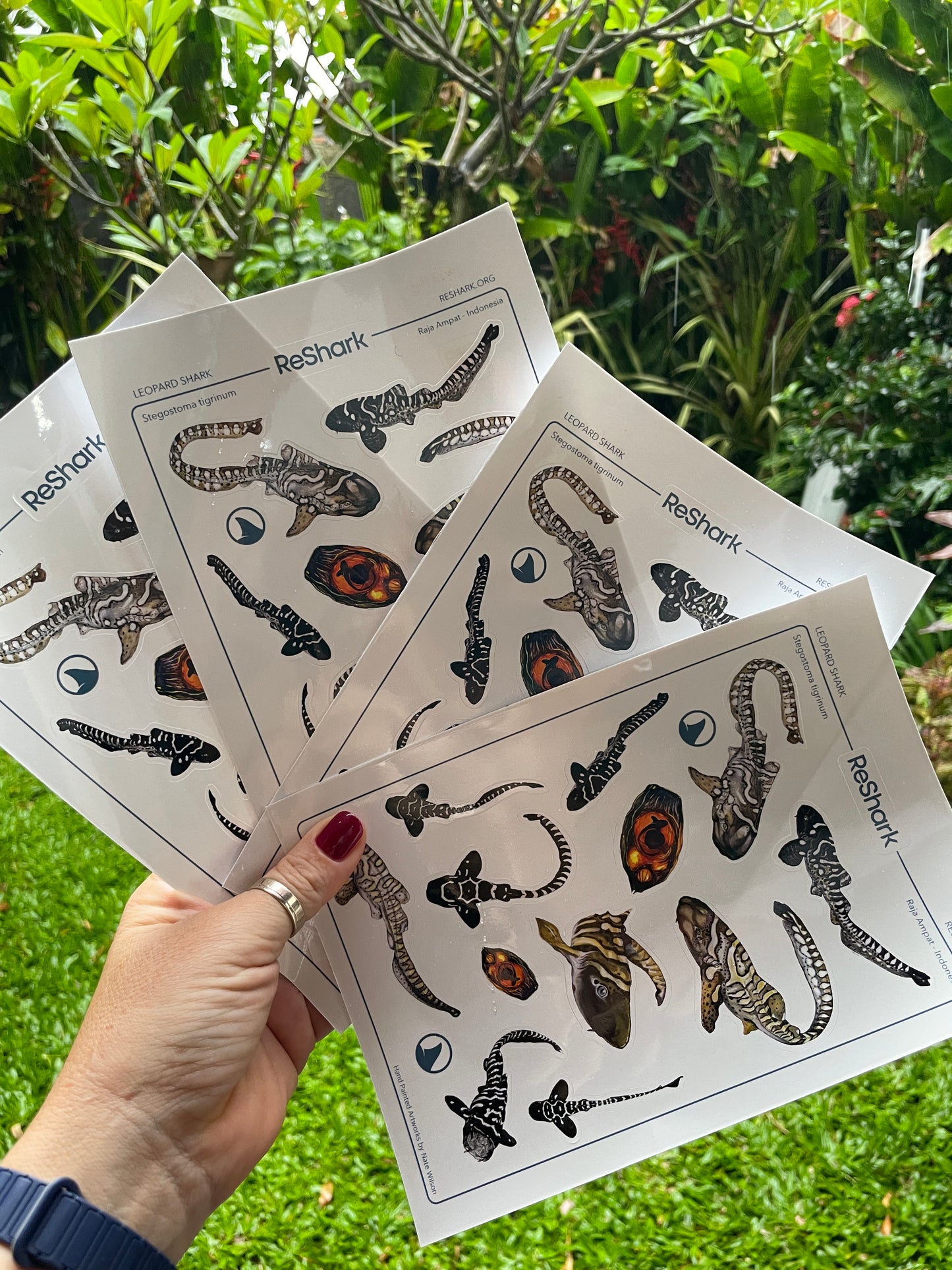 Reshark Stickers by Nate Wilson