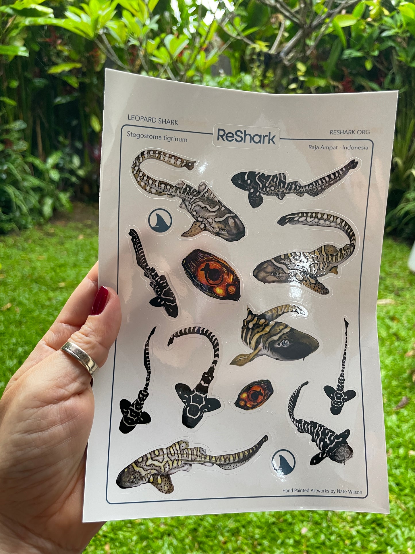 Reshark Stickers by Nate Wilson