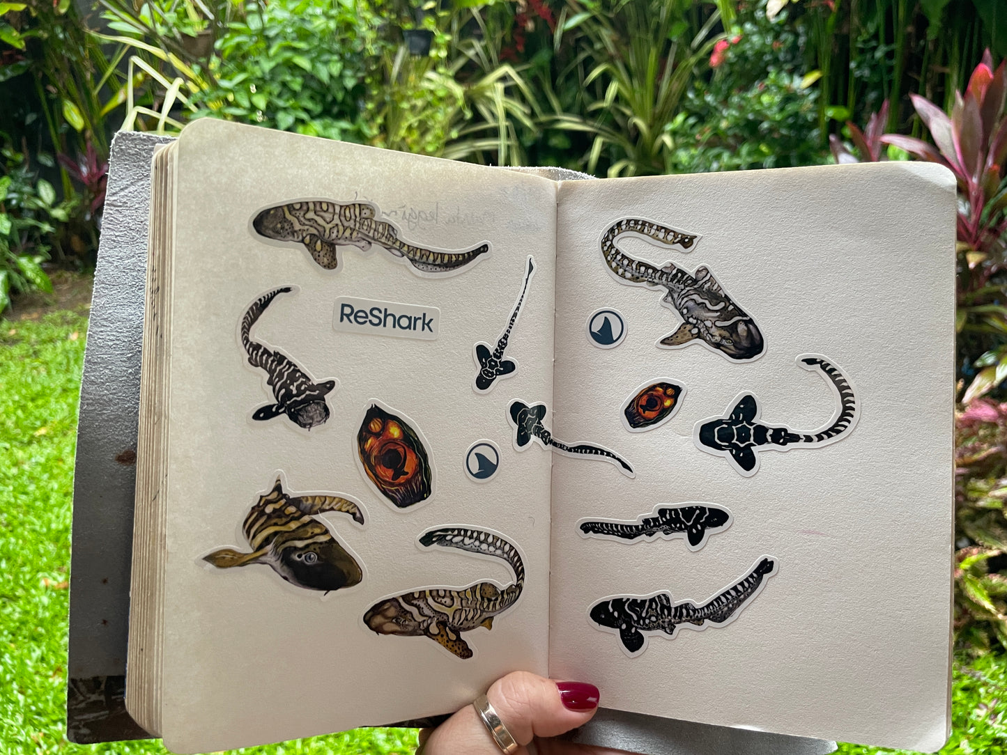 Reshark Stickers by Nate Wilson