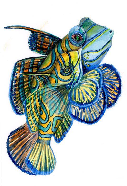 ORIGINAL PAINTING Mandarinfish in watercolor 7"x10"(18x25cm)