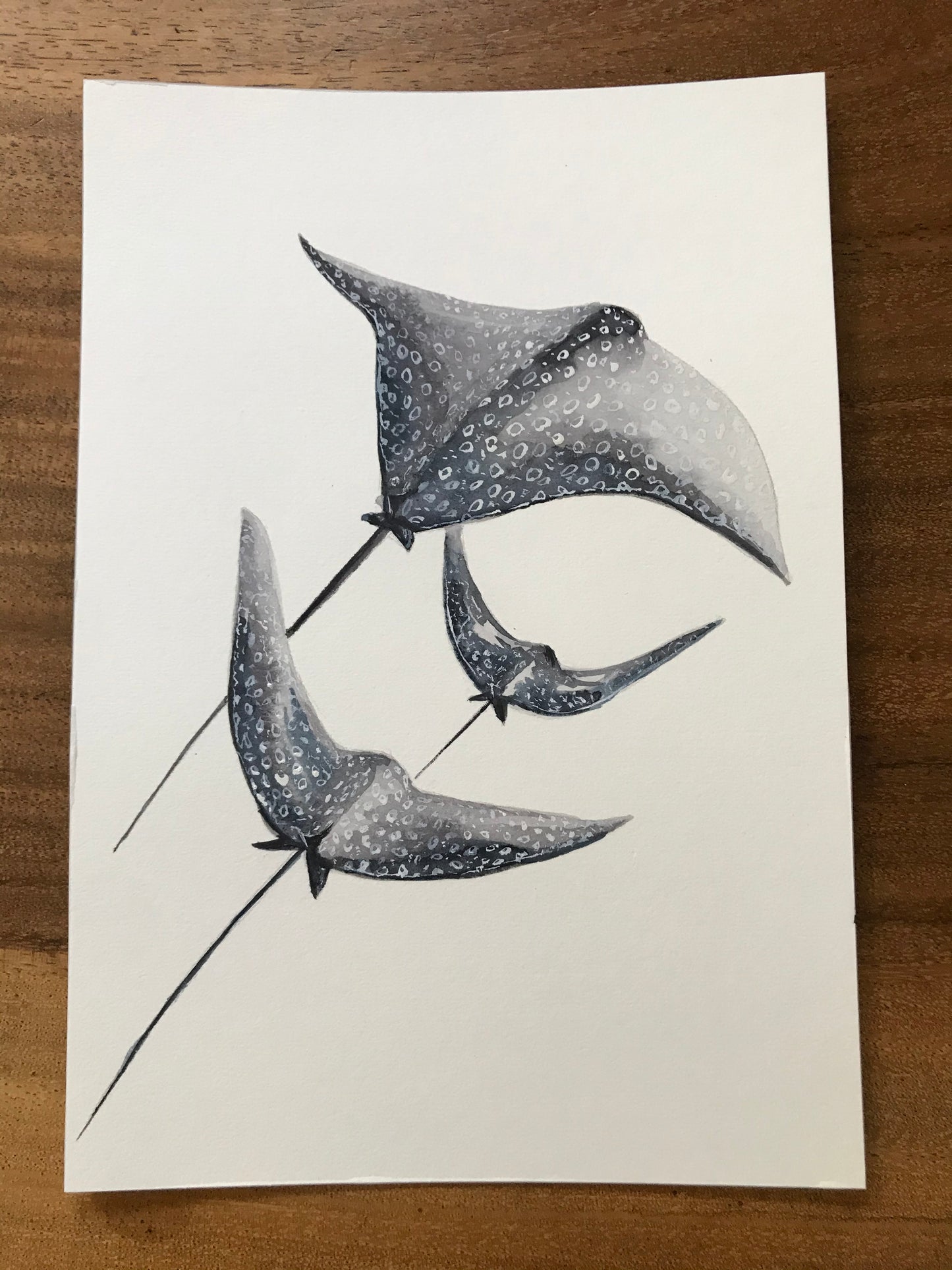 ORIGINAL PAINTING Spotted Eagle Ray in watercolor 7"x10"(18x25cm)