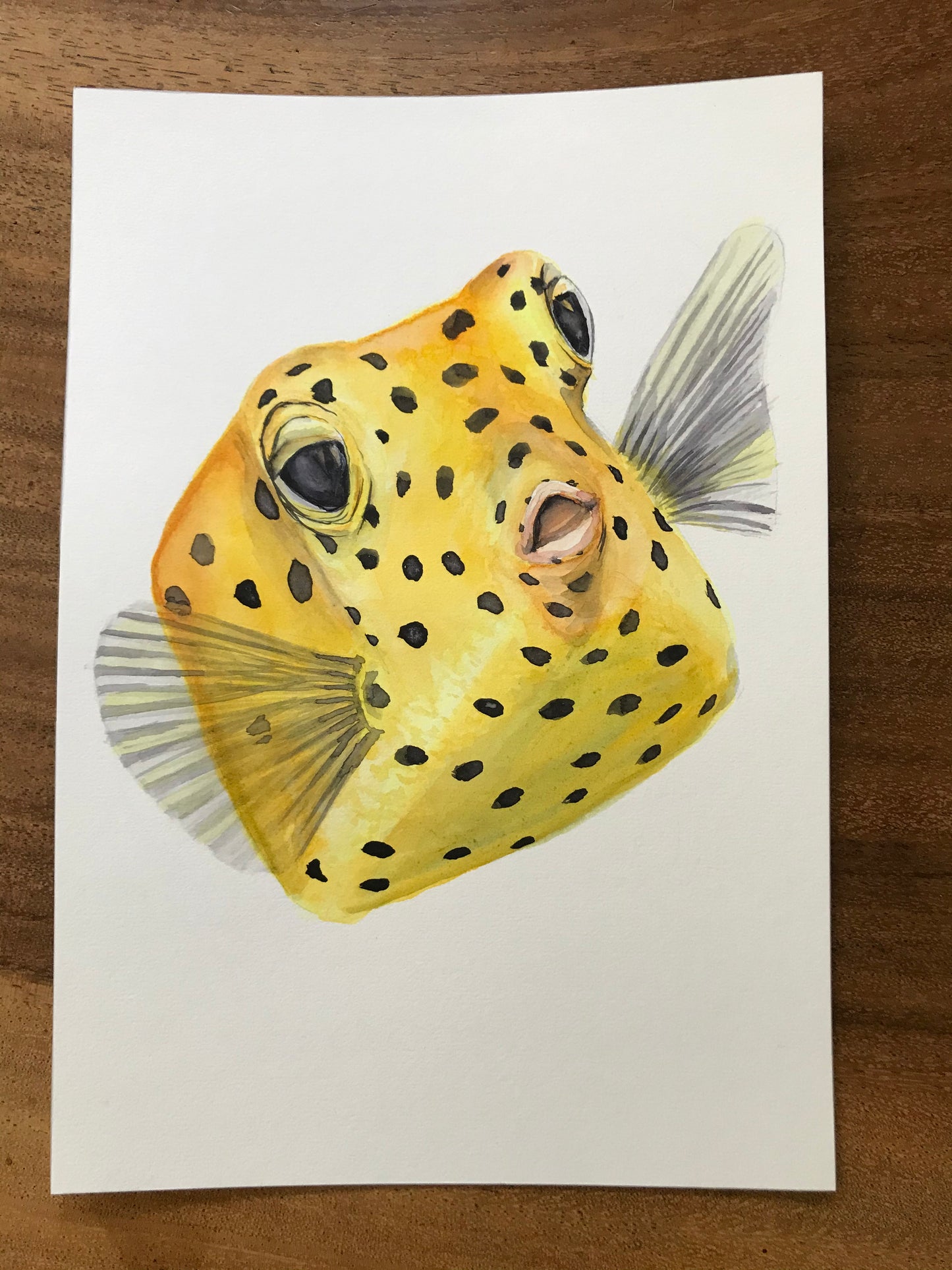 ORIGINAL PAINTING Yellow Boxfish in watercolor 7