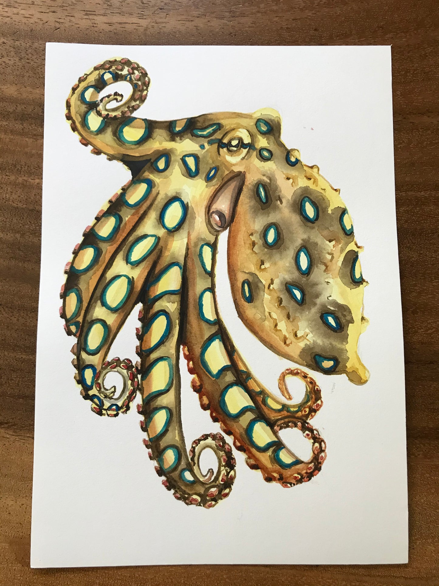 ORIGINAL PAINTING Blue Ring Octopus in watercolor 7"x10"(18x25cm)