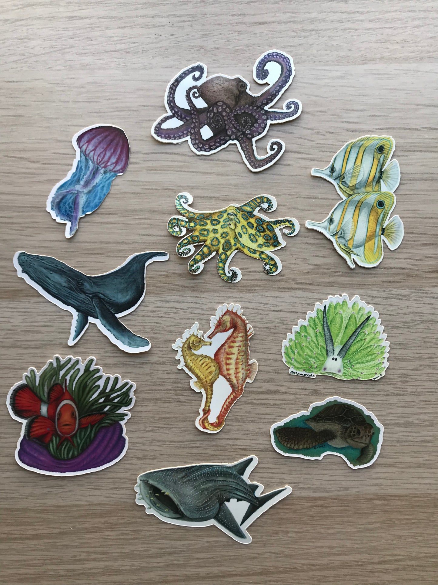 Sticker Pack - 15 Reef creatures 1st edition