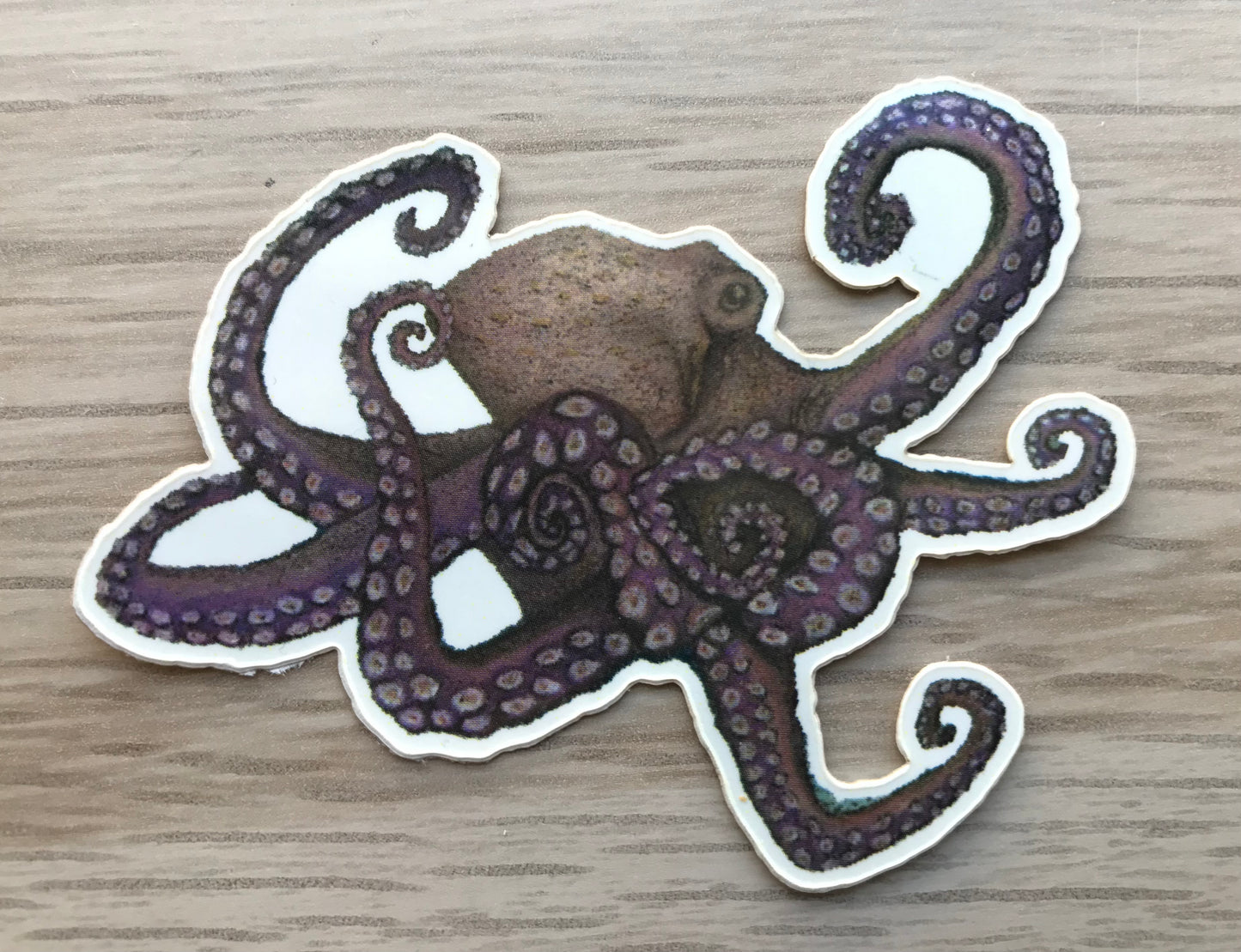 Sticker Pack - 15 Reef creatures 1st edition