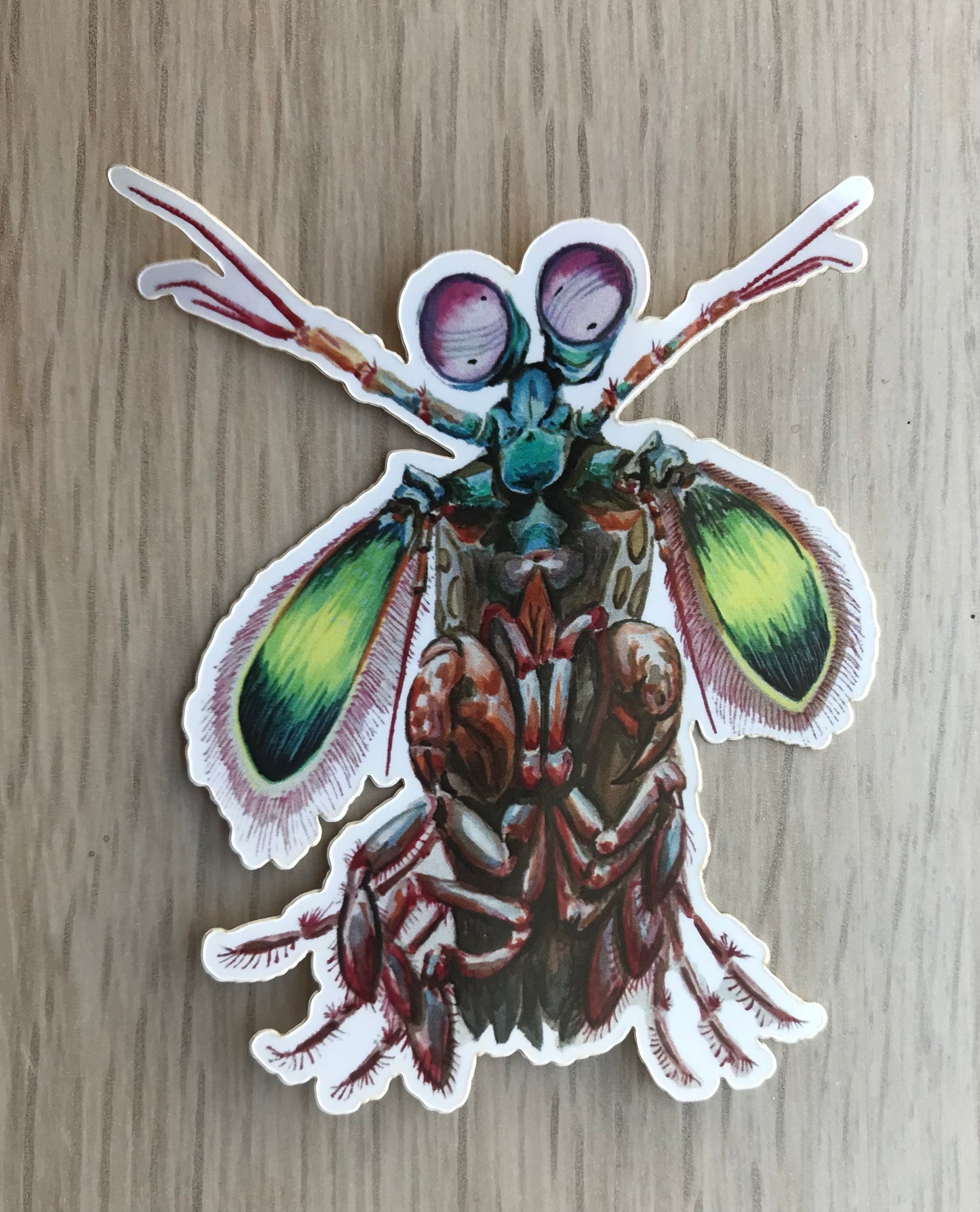 Sticker Mantis Shrimp