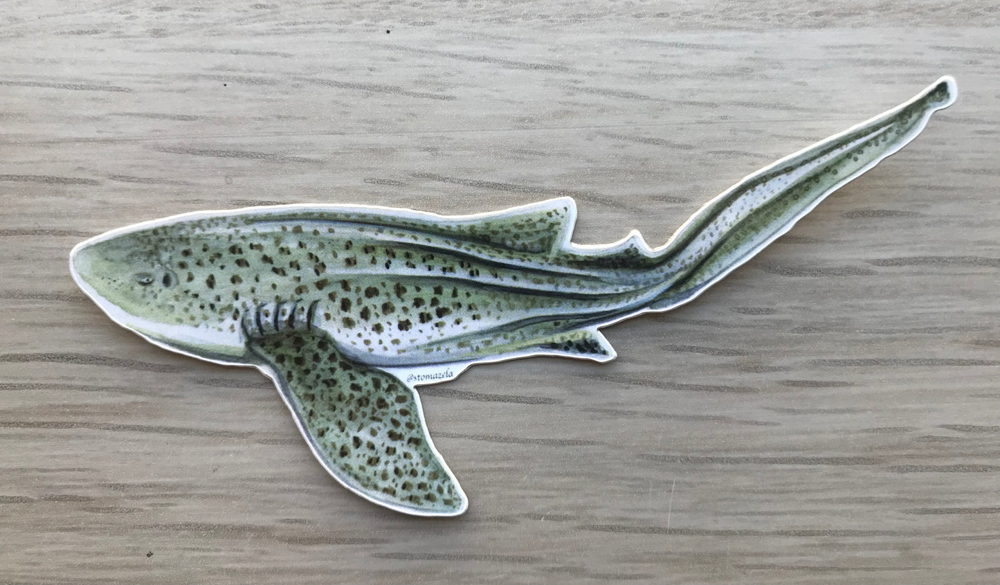 Sticker Leopard Shark