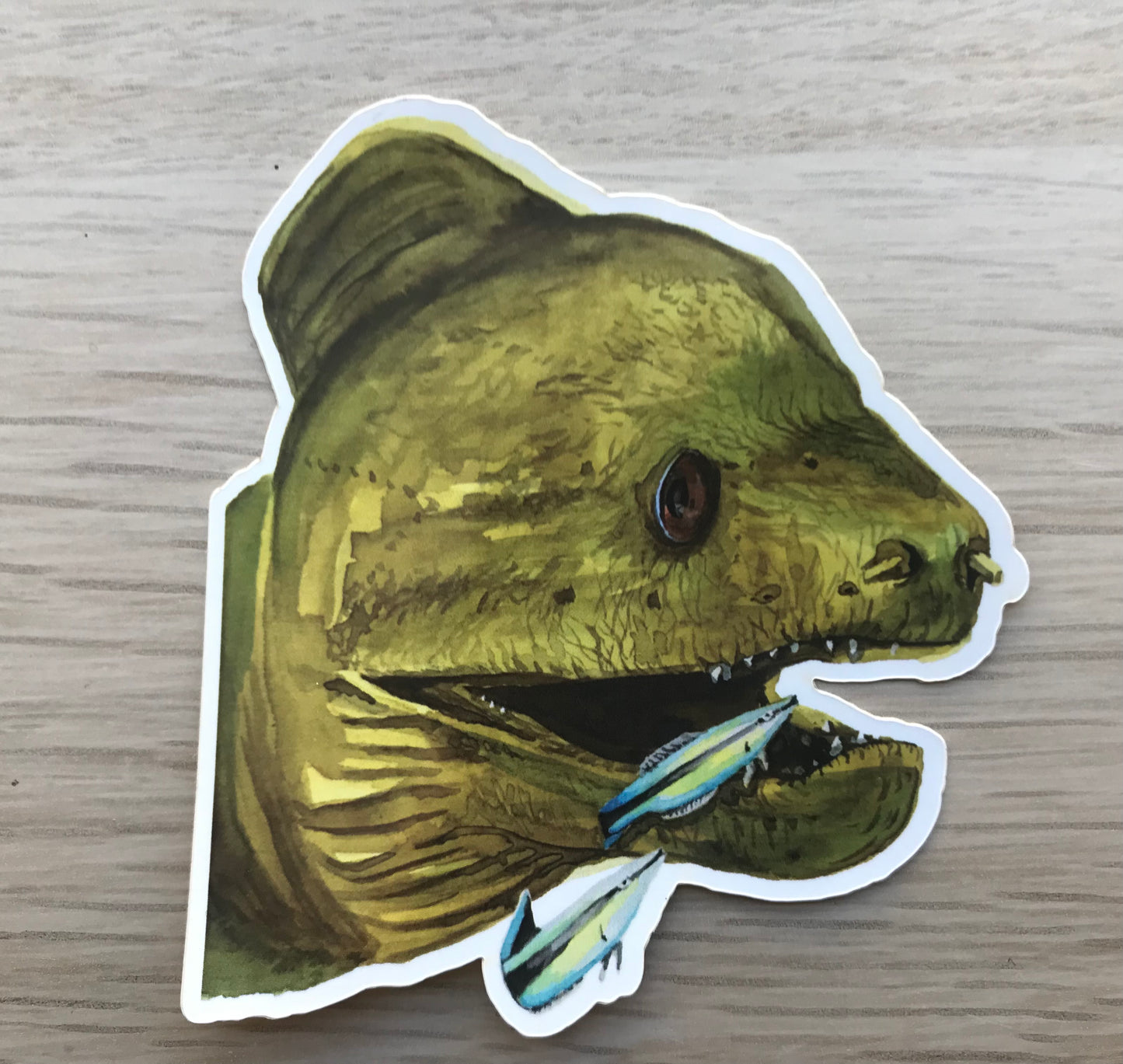 Sticker Giant Moray