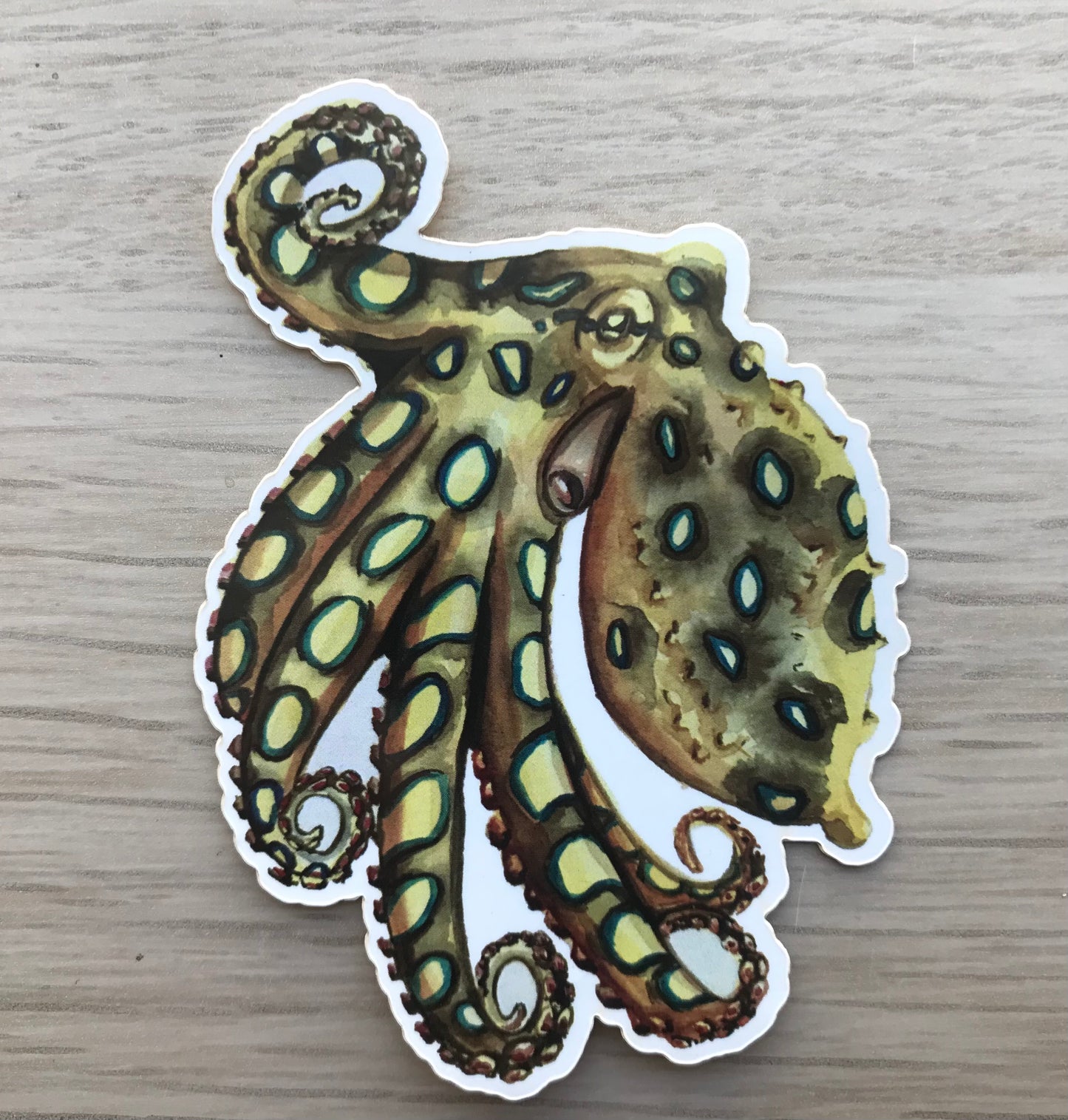 Sticker Blue Ringed Octopus