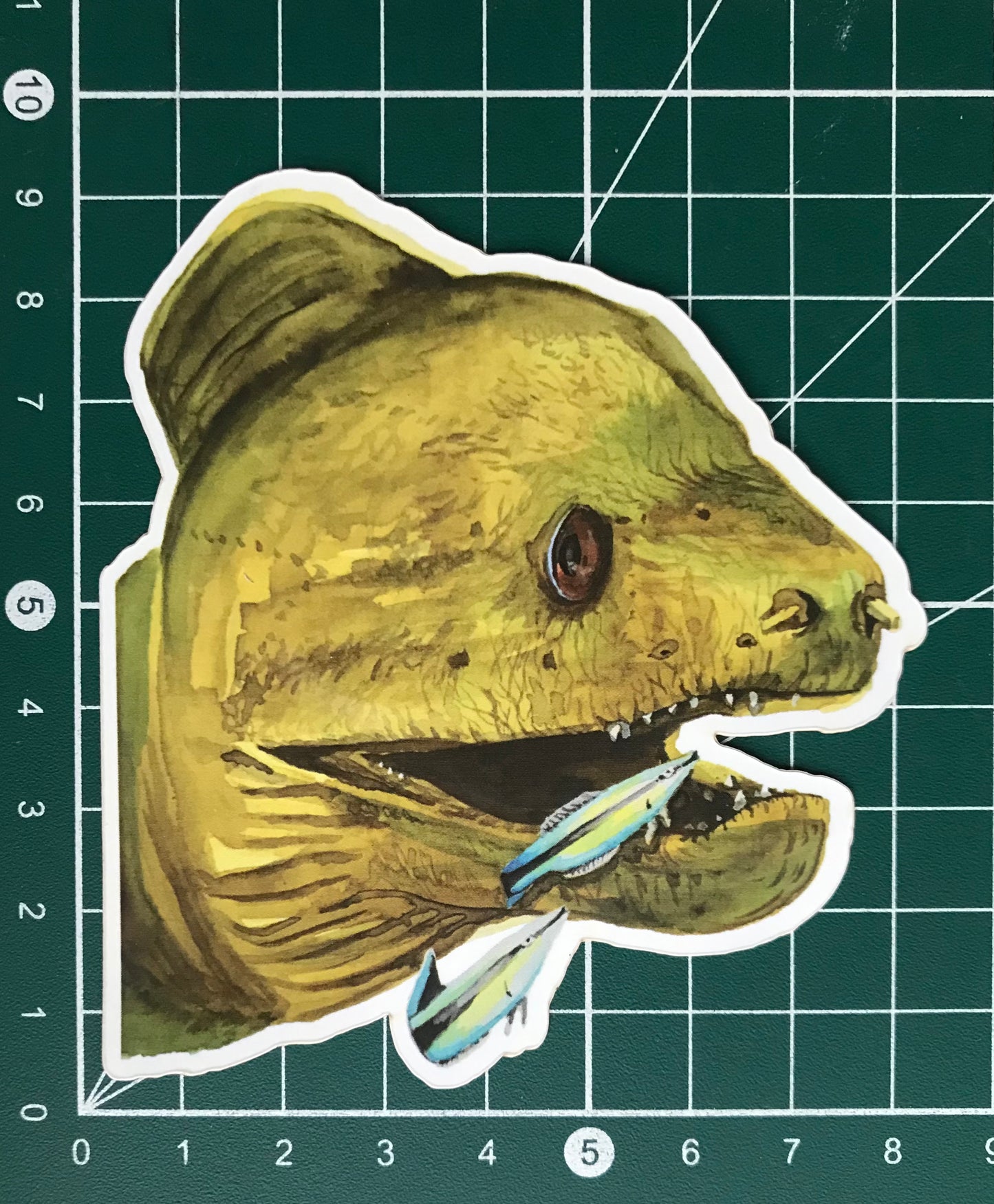 Sticker Giant Moray