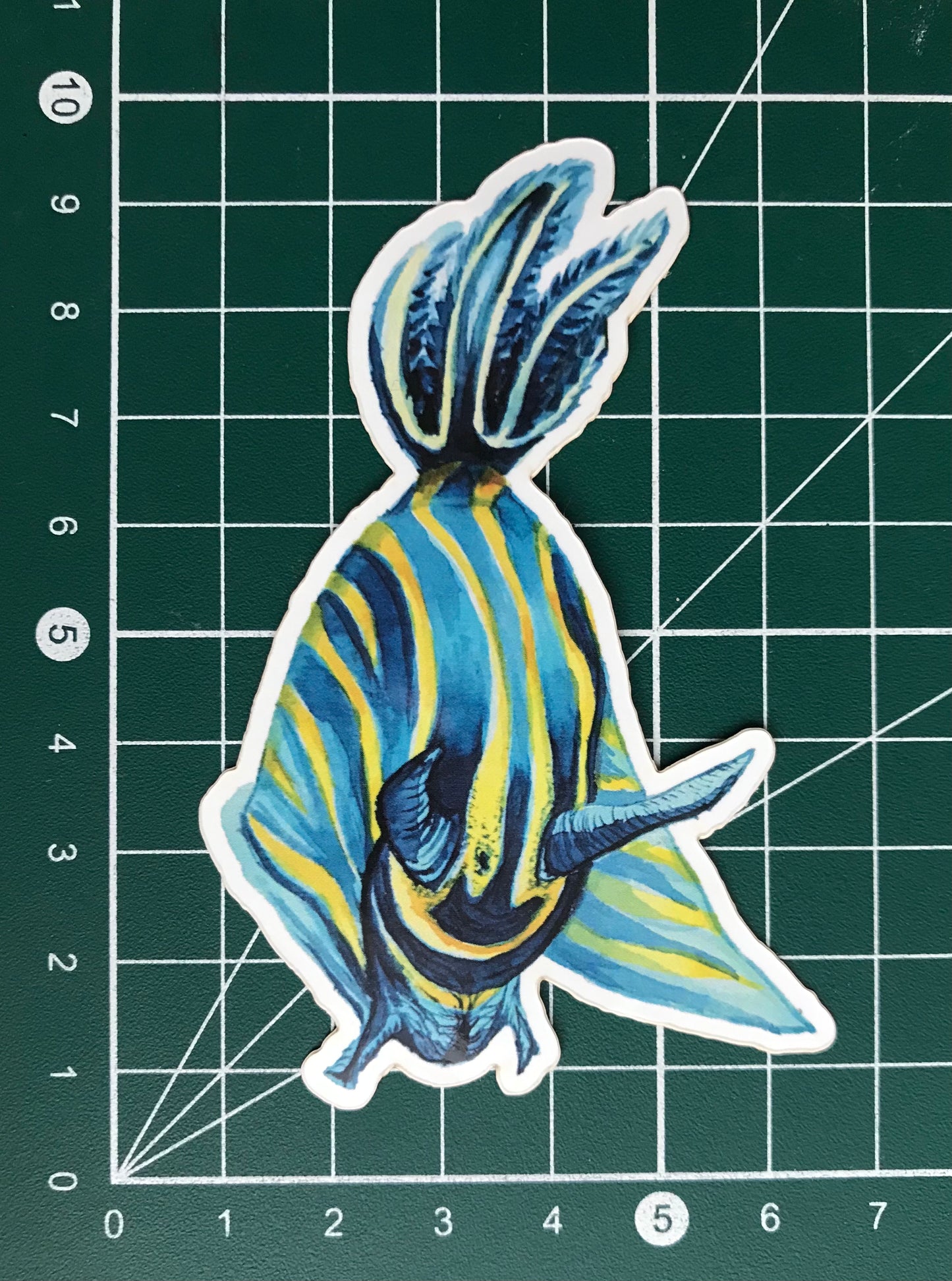 Sticker Tambja sp. Nudibranch