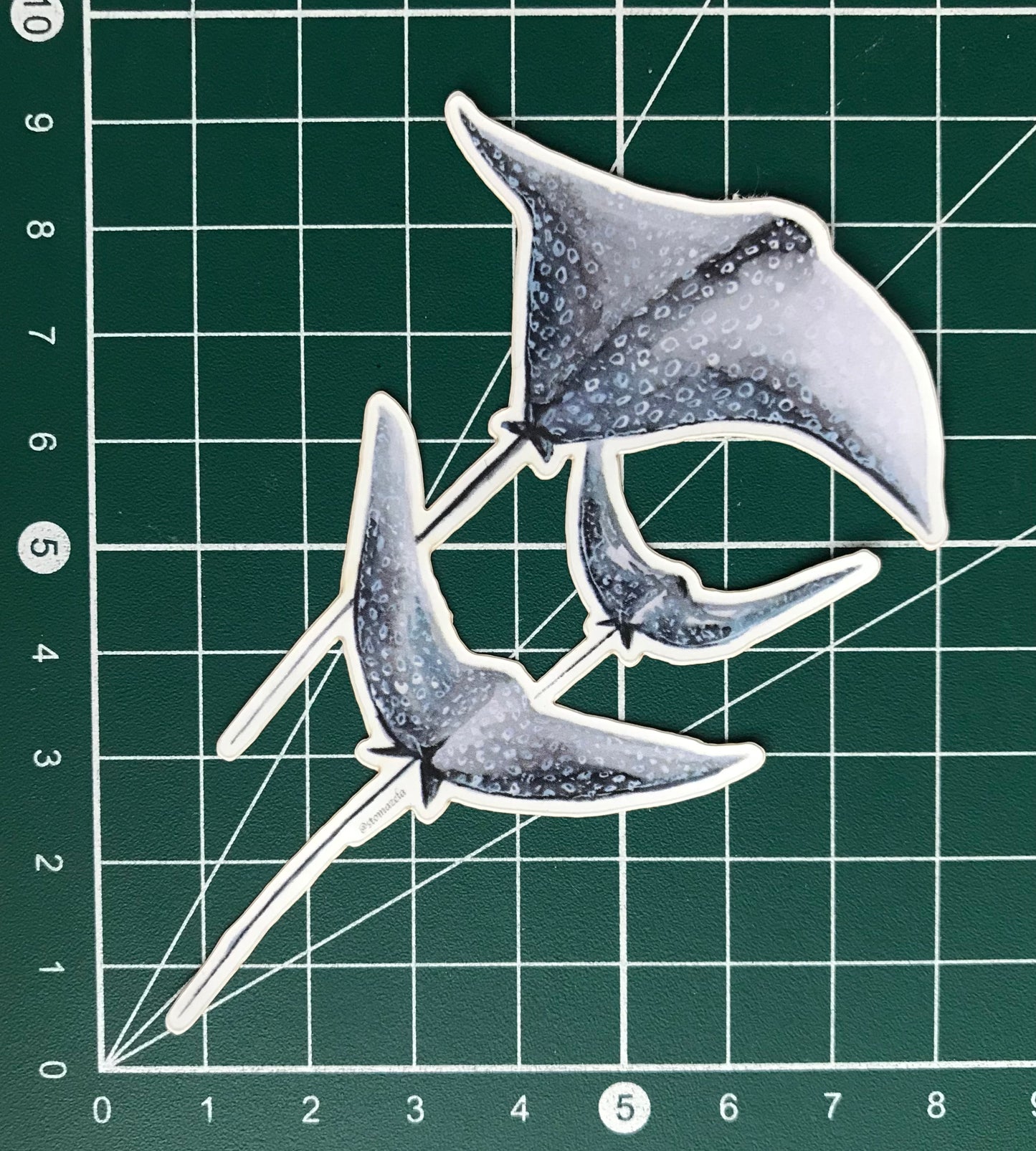 Sticker Spotted Eagle Rays