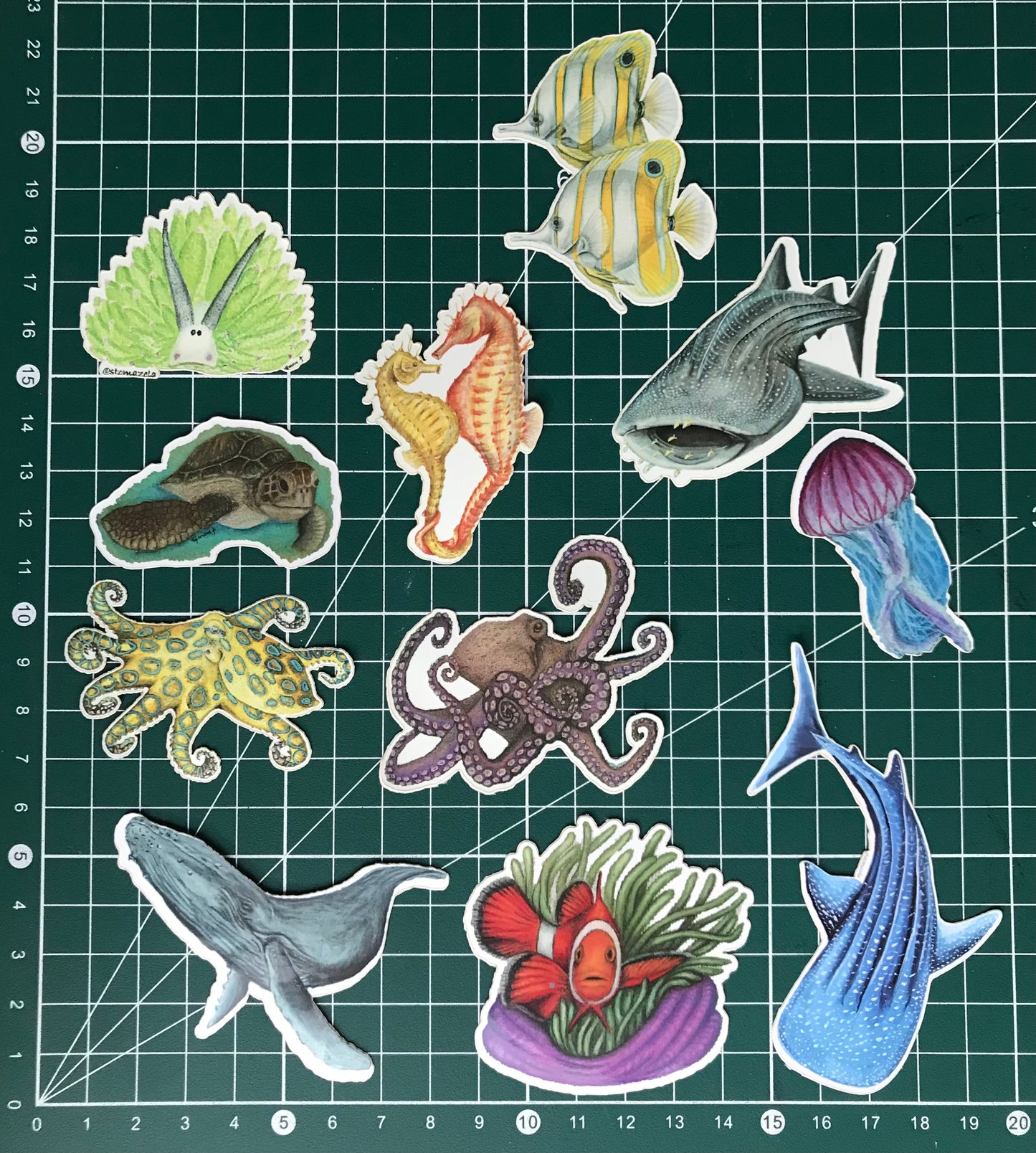 Sticker Pack - 15 Reef creatures 1st edition