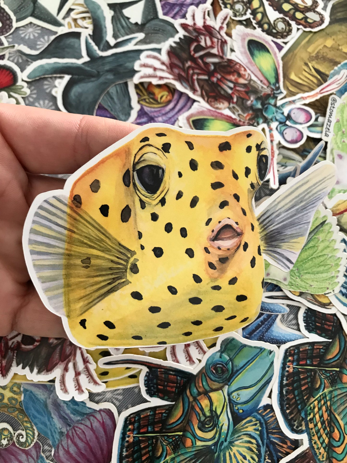box fish drawing Sticker Juvenille Yellow Boxfish – Sea Connection Art