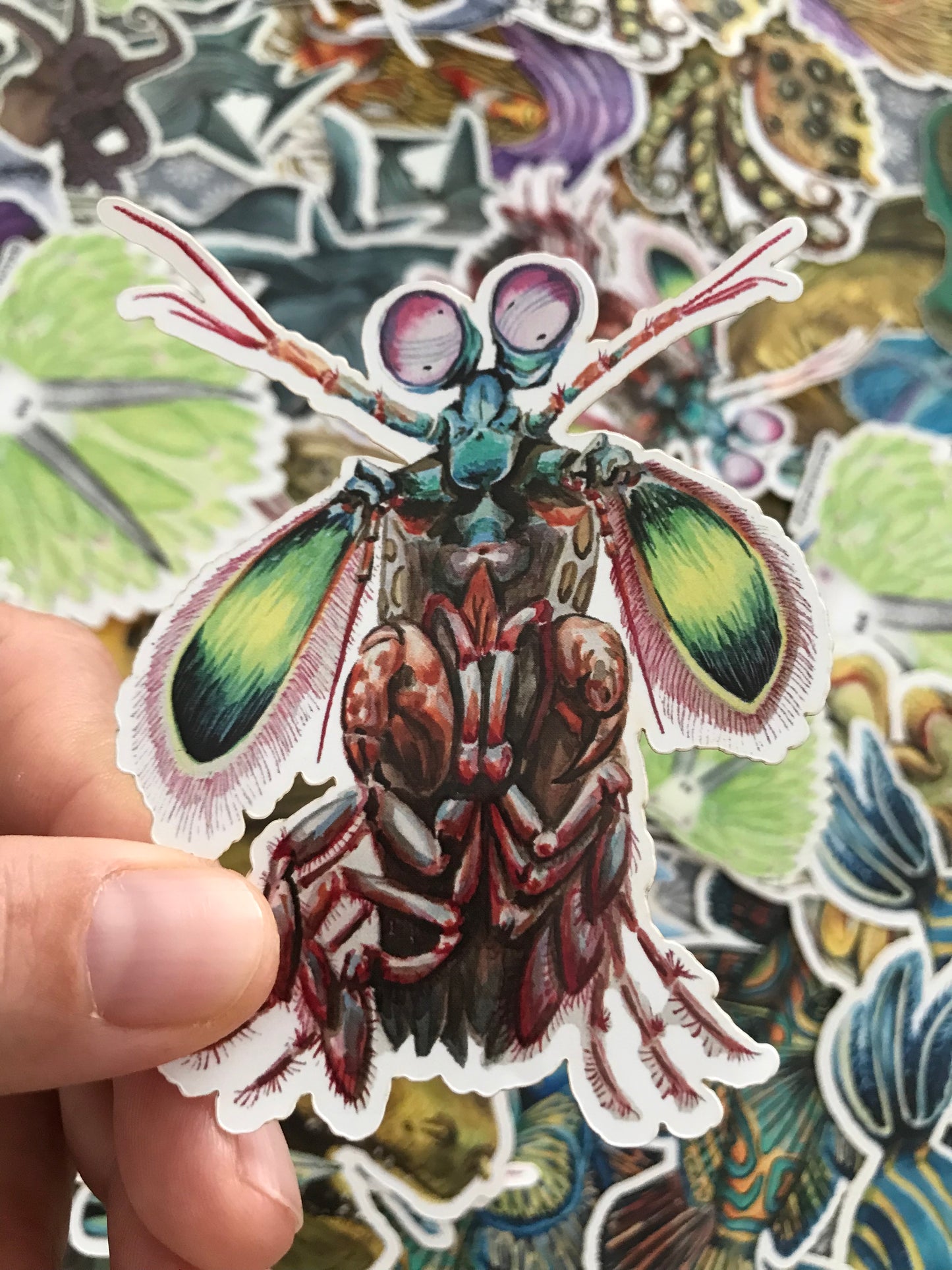 Sticker Mantis Shrimp