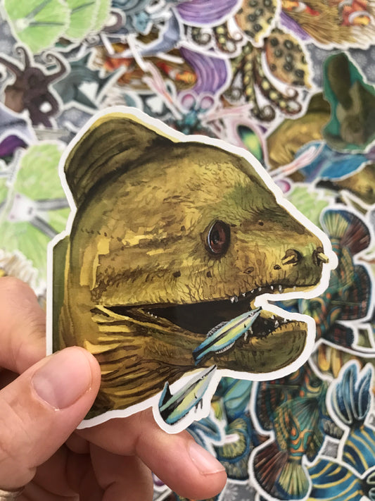 Sticker Giant Moray