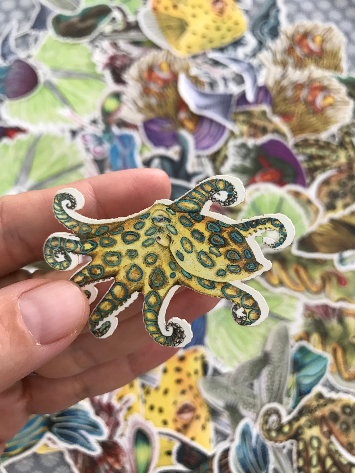 Sticker Blue Ringed Octopus