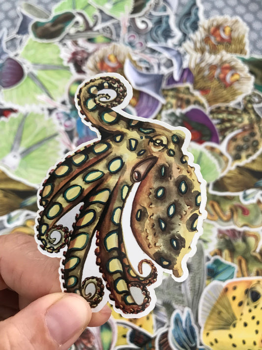 Sticker Blue Ringed Octopus