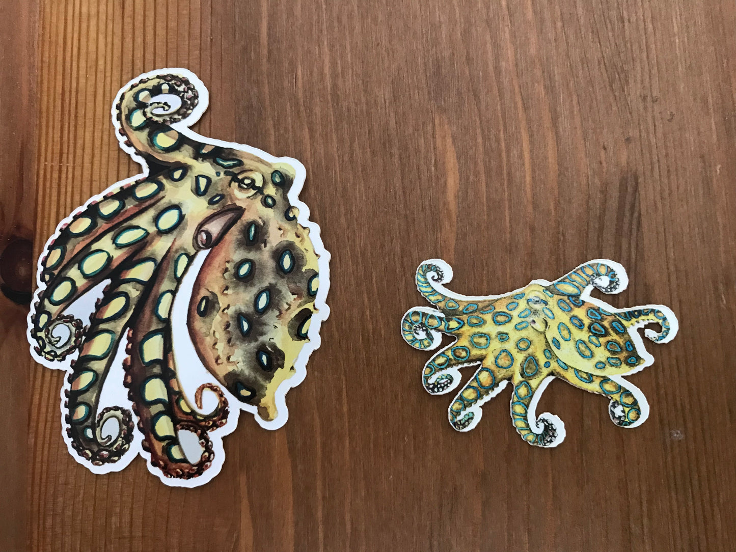 Sticker Blue Ringed Octopus