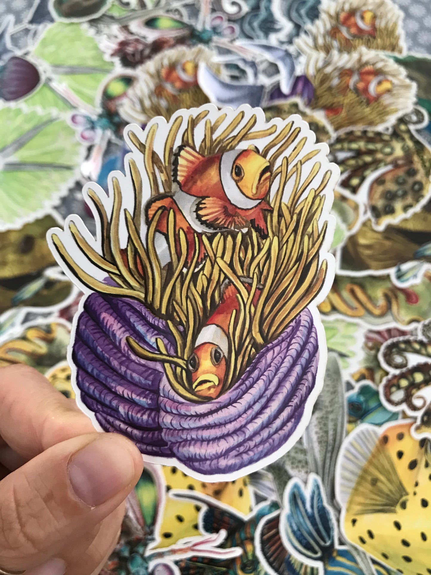 Sticker 2 Anemonefish