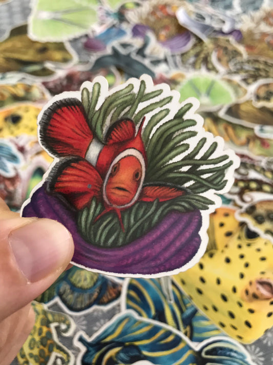 Sticker 1 Anemonefish