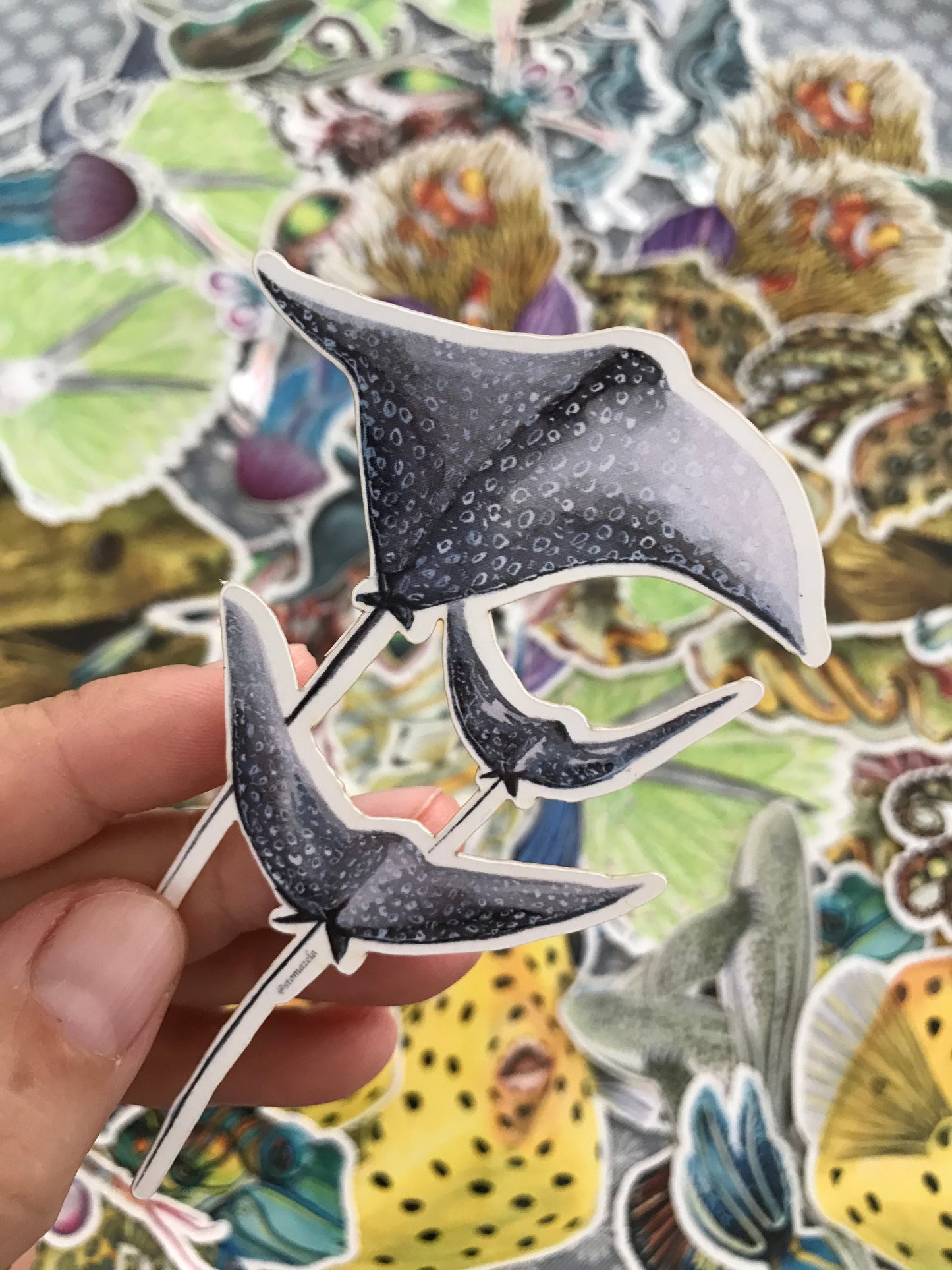 Sticker Spotted Eagle Rays