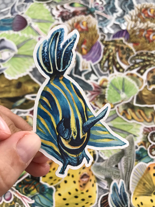 Sticker Tambja sp. Nudibranch