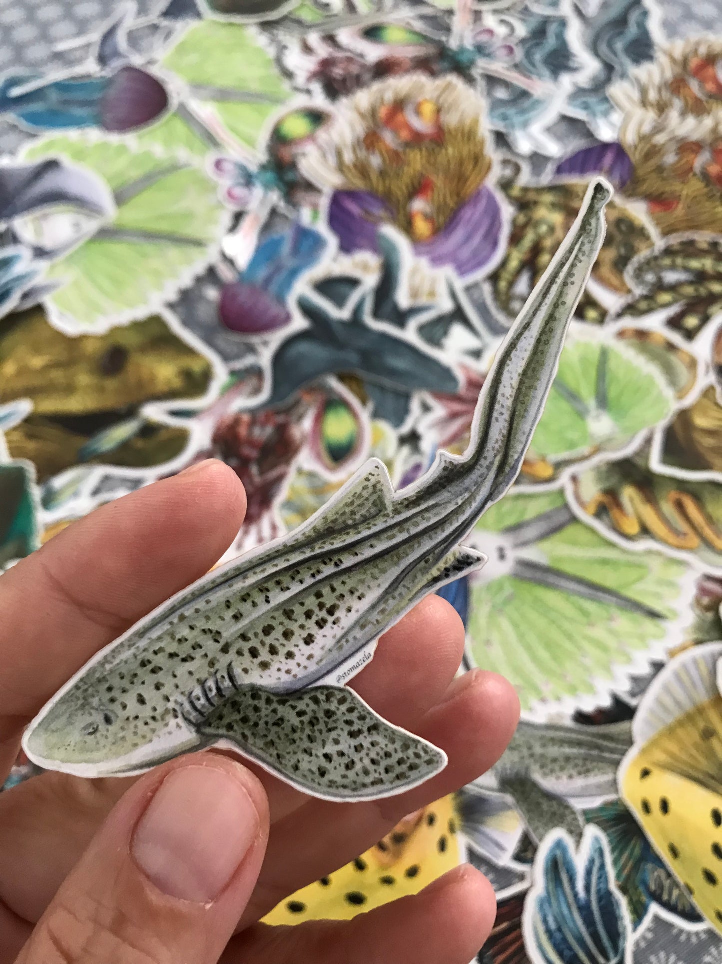 Sticker Leopard Shark