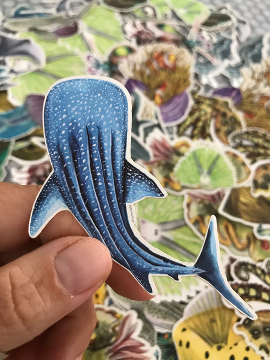 Sticker Whale Shark