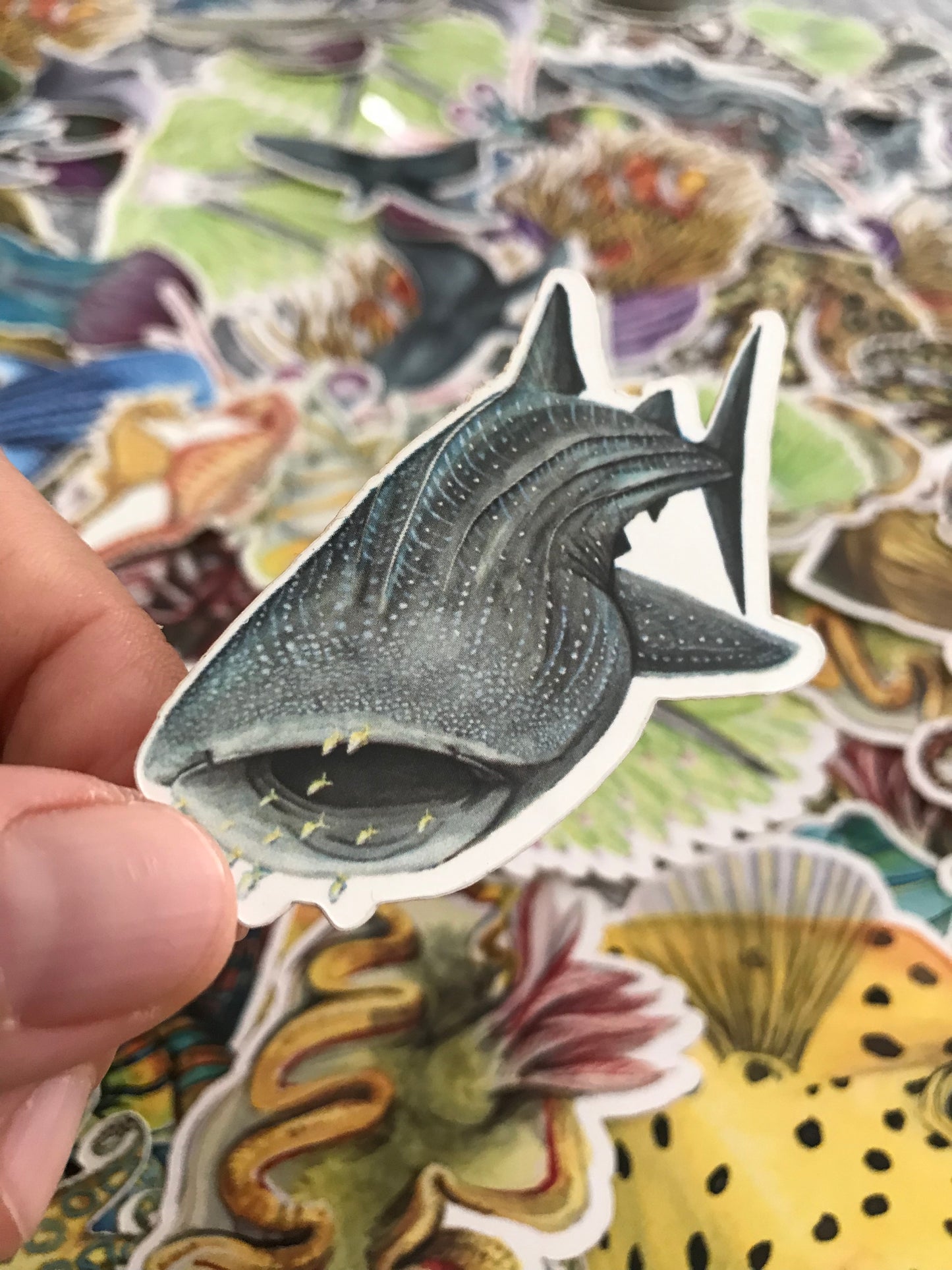 Sticker Pack 4 Sharks & Rays