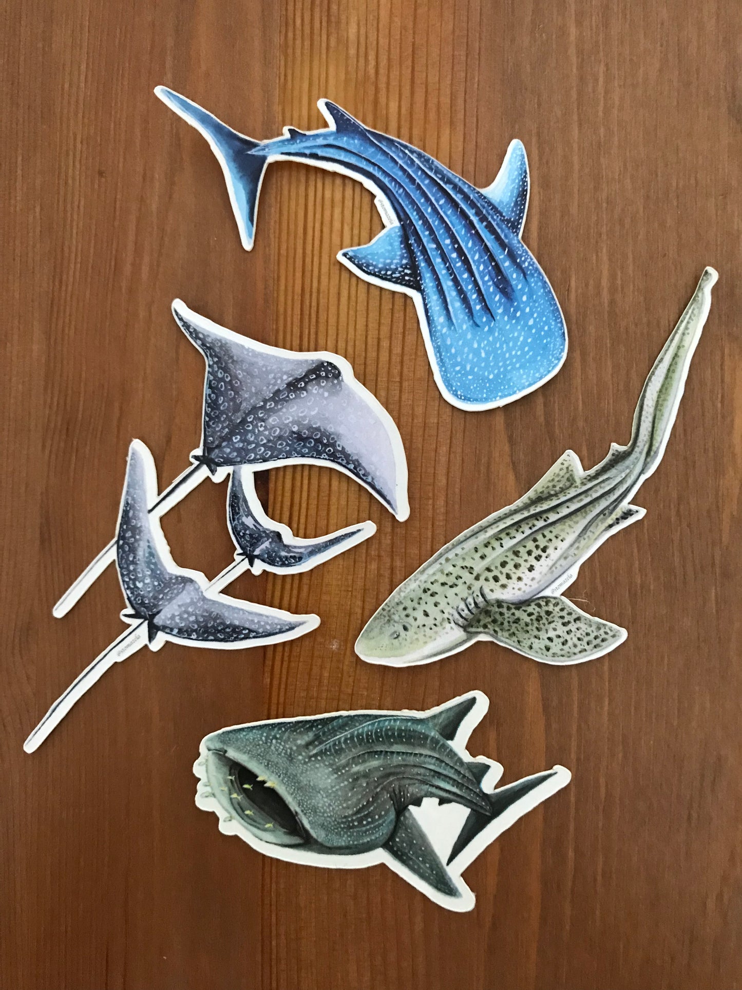 Sticker Pack 4 Sharks & Rays