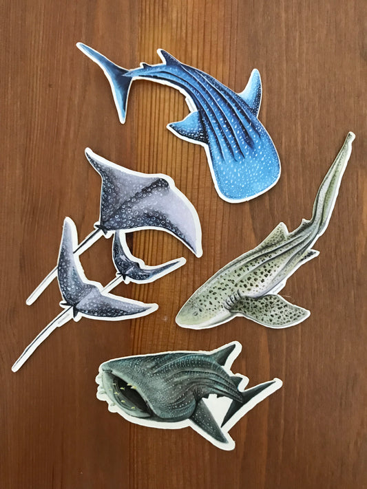 Sticker Pack 4 Sharks & Rays